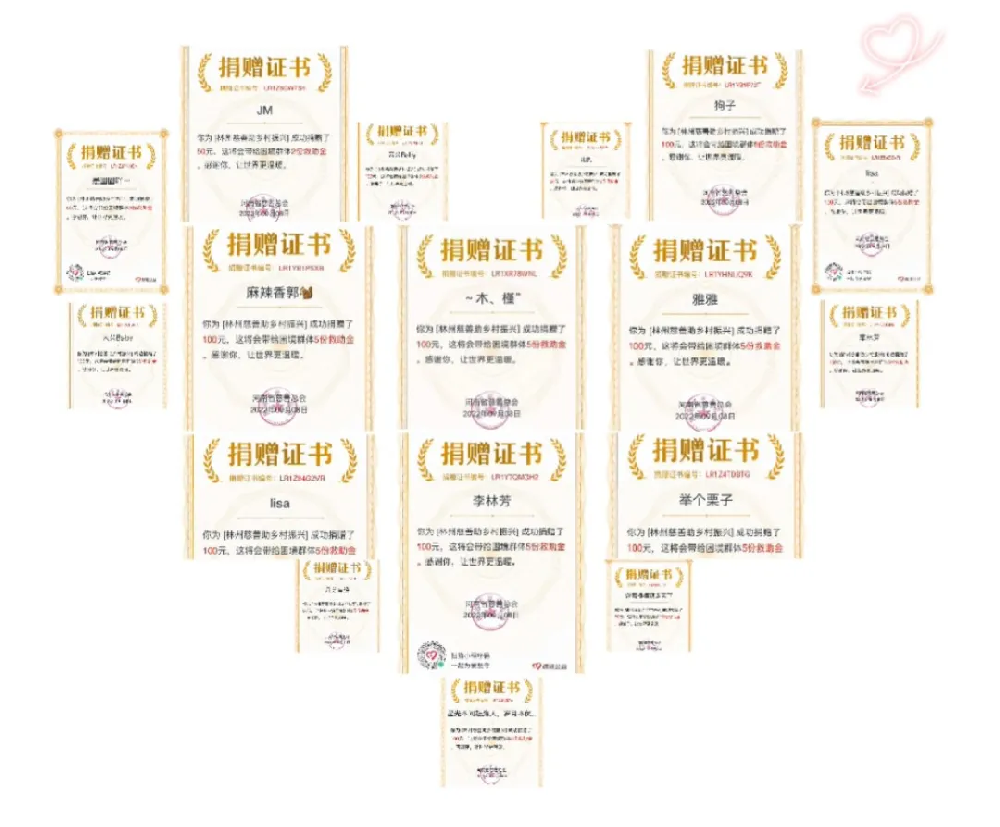 汇聚慈善力量 ，助力乡村振兴—9·9公益日，中纵在行动